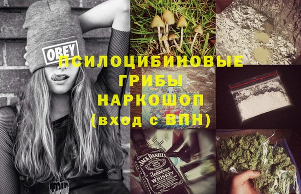твердый Арсеньев