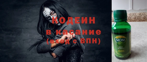 твердый Арсеньев