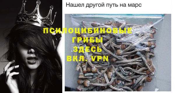 ПСИЛОЦИБИНОВЫЕ ГРИБЫ Армянск