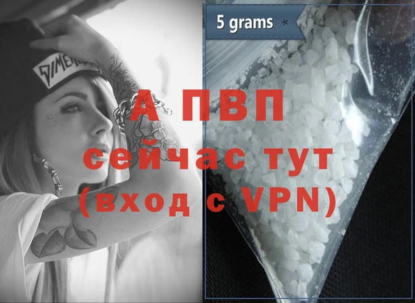 твердый Арсеньев