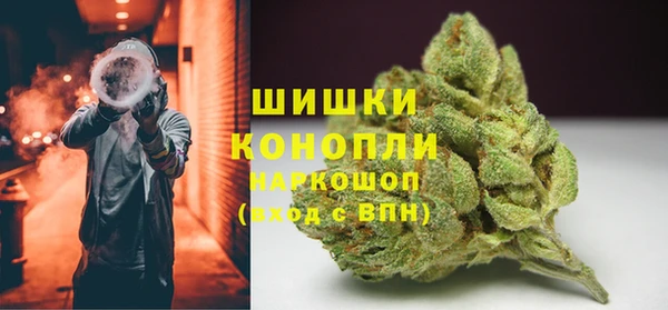 ПСИЛОЦИБИНОВЫЕ ГРИБЫ Армянск